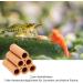 Garpet Aquarieendeko Pyramide 6er - Premium Shrimp Tube Aquarium Decoration Ceramic Terracotta Caves for Shrimp & Catfish - Buy Online on GoSupps.com