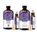 Lavender Essential Oil Value Set 16oz & 4oz Pure Natural Scent for Diffusers Aromatherapy Candle & Soap Making Relaxing Home & Gift Essential Oil for Bath Massage Skincare