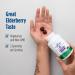 Nordic Naturals Immune Gummies Elderberry 40 Chewable Vitamins for Daily Immune Support | Non-GMO, Vegetarian Formula | 20 Servings - Buy Online on GoSupps.com