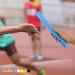 Junior Relay Track Baton - Black Plastic Tube for Outdoor Athletics - Buy Online on GoSupps.com