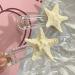 AJTUTUS Acrylic Starfish Shape Hairpins Hot Girls Duckbill Clear Hair Clip Spring Ponytail Side Hair Clip for Woman - Buy Online on GoSupps.com