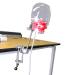 Dental Simulator Manikin Phantom Head Model with Bench Mount - Educational Teeth Model for Dental Training (Table Type) - Buy Online on GoSupps.com