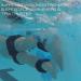 Aqualogix Maximum Resistance Hybrid Aquatic Training Fins - Blue - Pair (HRPCFIN) | Online Demo & Workout Program Included - Buy Online on GoSupps.com