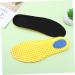 NOLITOY Breathable Sports Insoles - Absorption & Comfort for All Footwear | Shop Internationally - Buy Online on GoSupps.com