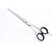 Focus World Hairdressers Scissors 6.5 Inch Barber Hair Scissors for Professional Hairdressing of Men & Women - Japanese Stainless Steel Silver 6.5 Inch 1.0 count - Buy Online on GoSupps.com