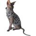 Kotomoda Cat's Cozy Comfort for Hairless Beauties: Winter Turtleneck Panther grey for Sphynx and Naked Cats (X-Small) X-Small Grey - Buy Online on GoSupps.com