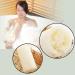 6 Pcs Natural Luffa Sponge Set - Biodegradable Luffa Sponges for Body Washing Shower Scrubs & Kitchen Cleaning - Buy Online on GoSupps.com