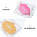 PartyKindom 20pcs Moisturizing Exfoliating Lip Mask Pads Collagen Infused Hydrating Treatment for Smooth Lips for Nourishing Random Style - Buy Online on GoSupps.com