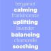 Plant Therapy Kids Happy Place Essential Oil Blend 10 mL (1/3 oz) 100% Pure Undiluted Calming Aromatherapy for Stress Relaxation & Emotional Balance Happy Place 0.34 Fl Oz (Pack of 1) - Buy Online on GoSupps.com