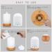 160ml Essential Oil Diffuser & Cool Mist Humidifier with 7 Colors LED Night Lamps - Whisper-Quiet Ultrasonic Ceramics - Copper Coin Pattern - US 120V - Buy Online on GoSupps.com