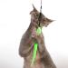 Purrs Wiggly Wormz attachment- Fits PurrSuit Frenzy & DaBird wand Cat Toys - Buy Online on GoSupps.com