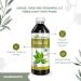 USDA Organic Guayusa Loose Leaf Extract - Natural Caffeine Energy Drink for Energy Mood & Concentration - 12oz Made in USA - Buy Online on GoSupps.com