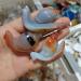 Natural Crystal Rough Natural Quartz Crystal 1pcs Natural Agate Snail Agate playthings Small Stones and Crystals Crystals Home Office Decor - Buy Online on GoSupps.com
