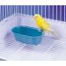 Penn-Plax Bird Bath with Mirror for Small Birds - Easy Setup (BA513) - Buy Online on GoSupps.com
