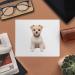 2 x Terrier Dog Microfiber Cleaning Cloths - Durable Soft & Eco-Friendly | Perfect for Home & Travel - Buy Online on GoSupps.com