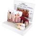 PSVOD 4x4 Anatomy Models for Dental Diseases | Educational Tools for Oral Care & Teaching - Buy Online on GoSupps.com