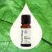 Plant Therapy Balm Mint Bush Essential Oil 10 mL (1/3 oz) 100% Pure Undiluted Natural Aromatherapy - Buy Online on GoSupps.com