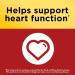 Nature Made CoQ10 100 mg - 72 Softgels for Heart Health & Energy Support - Buy Online on GoSupps.com