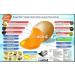 Kangen Ukon Turmeric by Enagic - 100% Organic Vegetarian Capsules - Buy Online on GoSupps.com