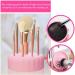 SOLUSTRE Makeup Brush Cleaner Silicon Makeup Brush Cleaning Tool Cosmetic Brush Cleaning Pad with Color Removal Sponge 2 in 1 Cleaner Box for Dry Brush Color - Buy Online on GoSupps.com