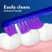 Oral-B Cavity Defense Toothbrush Medium 6 Count ORAL-B CAVITY DEFENSE TOOTHBRUSH MEDIUM 6 CT - Buy Online on GoSupps.com
