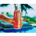 Monster Energy Ultra Past que Sans Sucre Boisson nergisante 473 ml (Lot de 24) Past que 473 ml (Pack of 24) - Buy Online on GoSupps.com