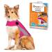 Thundershirt Apparel clothing Thundershirt Dog Anxiety Jacket, Pink, Large 41-64 lbs US Large (41-64 lbs) Pink