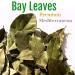 Arselia Wild Dried Bay Leaves Whole 2 Oz | Mediterranean Laurel Nobilis | Premium Quality | Natural All Green - Buy Online on GoSupps.com