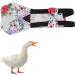 Zerodis Pet Chicken Diapers - Small Size Peony Flower Pattern Tight Belt Diapers for Poultry - Poop Pocket Included - Buy Online on GoSupps.com
