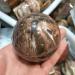 Natural Crystal Rough Home Decoration Natural Petrified Wood Ball Polished Specimen Stones - Buy Online on GoSupps.com