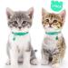 Taglory Reflective Cat Collar 2-Pack | Adjustable Safety Clasp & Bell | Turquoise 15-20cm for Kittens & Cats - Buy Online on GoSupps.com