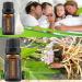 Leise Valerian Essential Oil - 10ml Valerian Root Essential Oil for Sleep Natural Valerian Essential Oil for Diffusers Aromatherapy Massage Humidifiers Skin & Hair Care (2pcs) - Buy Online on GoSupps.com