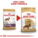 Royal Canin Dog Food Cocker Spaniel Dry Mix 3kg - Buy Online on GoSupps.com