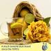 Instant Tea Bundle which Contains Lift Instant Lemon Flavour Tea 150g - Pack of 2 with Grocery List Card - Buy Online on GoSupps.com