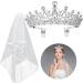 Frcolor Crystal Tiara Crown Rhinestone Wedding Bridal Headband with Veil & Comb - Buy Online on GoSupps.com