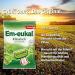 Buy Em-Eukal Classic Cough Drops with Sugar - Eucalyptus Flavor 150g (12 Pack) - International Shipping Available - Buy Online on GoSupps.com