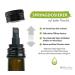 Organic Linseed Oil 2x500ml - Cold-Pressed High Polyunsaturated Fatty Acids | Biocontor - Buy Online on GoSupps.com