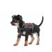 Oneigris dog harnesses fire Watcher Tactical dishes moll safety harness service dog dog vest with 1 handles and 2 no-pull D-ring 1000d nylon (xs gray) XS gray