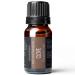 Pure Body Naturals Clove Bud Essential Oil 10 ml - Pure and Undiluted Therapeutic Grade for Aromatherapy Diffuser and Relief