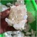 Natural Clear Quartz Crystal Cluster Small Stones Rare Specimen Full of Texture - Buy Online on GoSupps.com