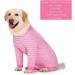 YeaPeeto One-Divider for Dogs - Full Body Pajamas for Large & Medium Dogs | Anti-Lick Wound Protection & Relaxation | 6XL Pink - Buy Online on GoSupps.com