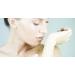 Grand Parfums Perfume Oil - "fits" EROS Body Oil for WOMEN - Uncut Body Oil Scented Fragrance Body Oil - 10ml Roller Bottle - Buy Online on GoSupps.com