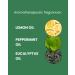 ManCave Wild Mint Shower Gel 500ml - Energising & Fresh Aroma, Natural Formula with Lemon, Peppermint & Eucalyptus Oil - Vegan & Paraben Free - Pack of 1 - Buy Online on GoSupps.com