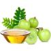 100% Pure Amla Oil - Indian Beauty Secret for Shiny and Healthy Hair . Pure Amla Hair Oil Chemical Free - Buy Online on GoSupps.com