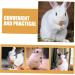 Sosoport 12pcs Pet Rabbit Snacks Rabbit Chewing Playthings Rabbit Biting Playthings Rabbit Chew Sticks Plant - Buy Online on GoSupps.com