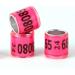 100PC Multicolor Aluminum Pigeon Leg Rings - 2024 DV Training Footring | Durable Identification Tapes for Birds - Buy Online on GoSupps.com