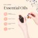 LIVAANO 100% Natural Essential Oils for Diffusers - 12 Aromatherapy Oils for Humidifiers | Lavender, Eucalyptus, Peppermint, Tea Tree & More - Buy Online on GoSupps.com
