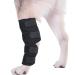 ceepdoogle Canine Dog Hock Brace Rear Leg Joint Wrap Protects Wounds as They Heal Compression Wrap Heals and Prevents Injuries and Sprains Helps with Loss of Stability Caused by Arthritis Puppy - Buy Online on GoSupps.com