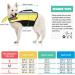 Buy PopetPop Reflective Dog Life Jacket - Float Coat for Small Medium & Large Dogs | Durable Swimming Vest for Dog Safety & Training - Buy Online on GoSupps.com
