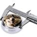 Cute Hedgehog Pill Box - 3 Compartment Organizer & Portable Travel Solution for Easy Medication Management - Buy Online on GoSupps.com